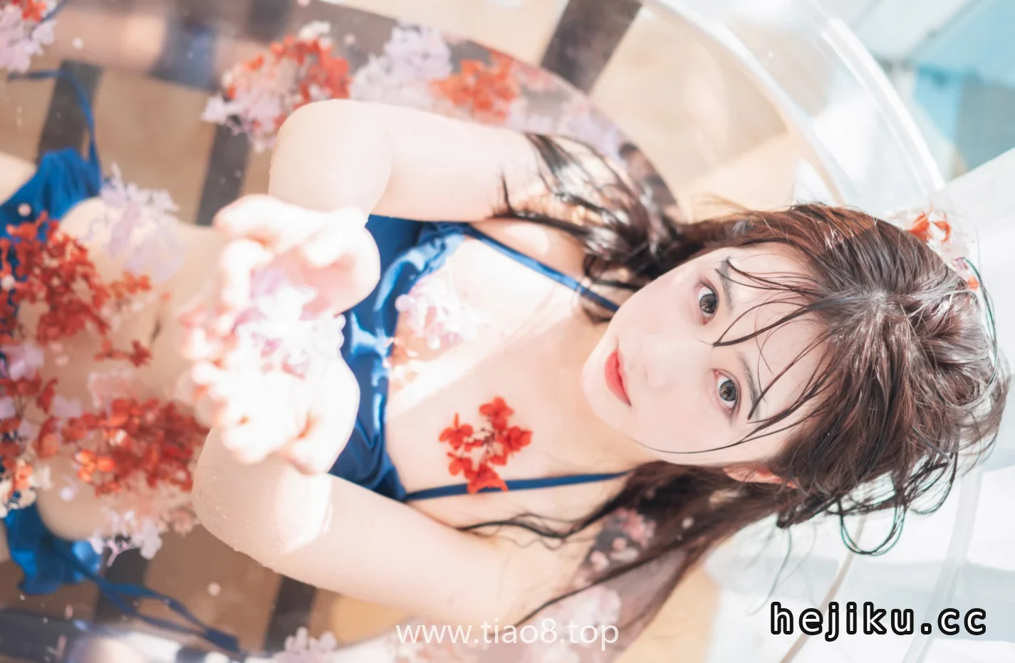 美图欣赏丨Coser镜酱:NO.013- 私奔 泳衣[61P-899MB]